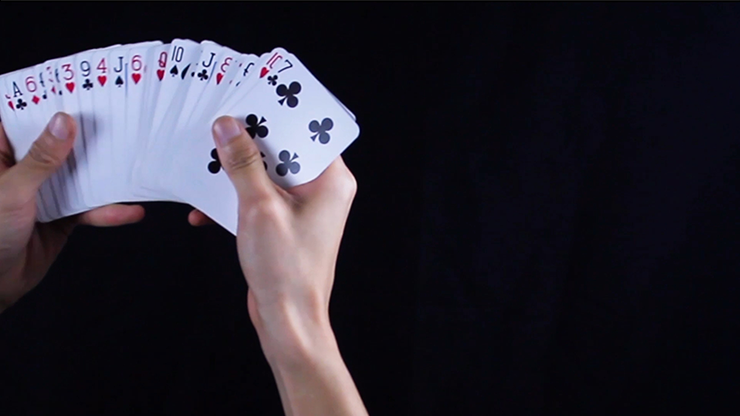 Z DECK (Blue) | ziv 