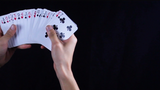 Z DECK (Blue) | ziv