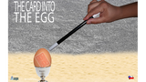 THE CARD INTO THE EGG | Alan Alfredo Marchese & Aprendemagia