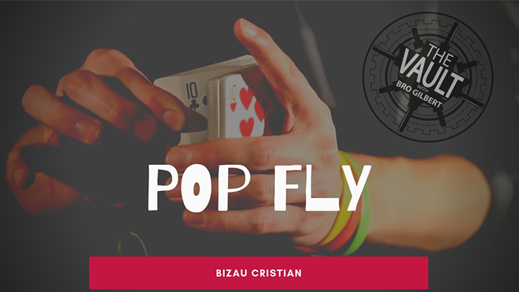 The Vault - Pop Fly | Bizau Cristian - (Download) 