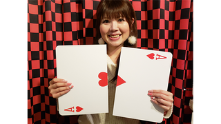 Jumbo Split Card | Syouma 