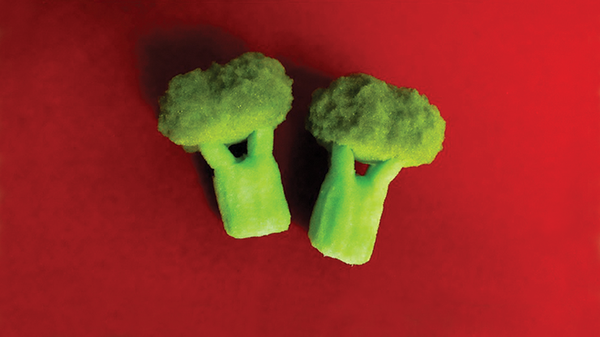 Sponge Broccoli (2 Stück) | Alexander May