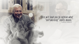 Move Zero (4 Volume Set) | John Bannon and Big Blind Media - (DVD) 