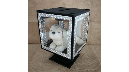 Smart Glassy Cube (4 Times with Materials) | Tora Magic