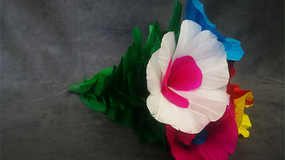 Blooming Bouquet (5 Blooms) | Tora Magic 