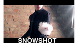 SnowShot (10 ct.) | Victor Voitko 