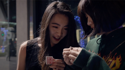 Translation | Sans Minds Creative Lab - (DVD) 