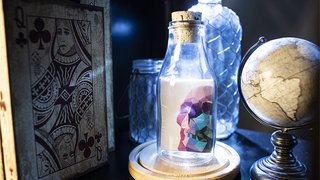 Memento Mori Impossible Bottles | Stanley Yashayev