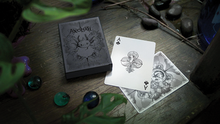 Axolotl Playing Cards | Enigma