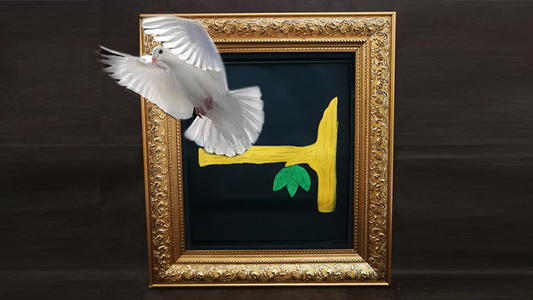 Dove Picture to Real Picture | Tora Magic 