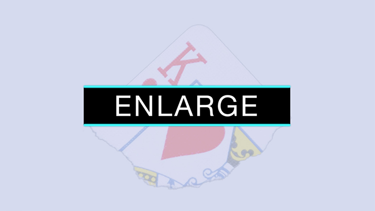 Enlarge | SansMinds - (DVD) 
