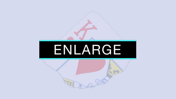 Enlarge | SansMinds - (DVD)