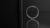 Collusion Ring (Large) | Mechanic Industries