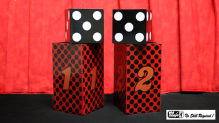 Passe Passe Dice | Mr. Magic