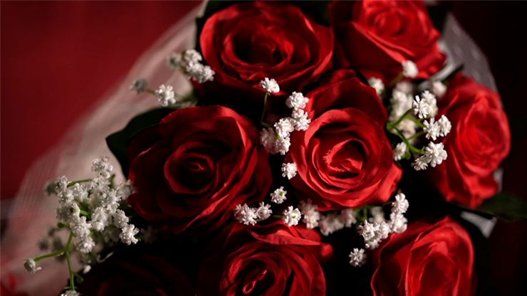 The Bouquet (Red) | Bond Lee & MS Magic