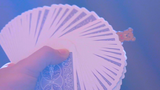 TEDDY (Blue) | Zamm Wong &amp; Magic Action 