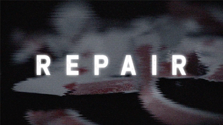 Repair | Juan Capilla - (DVD)