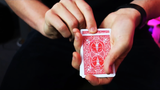 Promnesia | Grame David Fishwick 