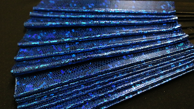 Appearing SnowStorming Fan V2 (blue hologram) | Victor Voitko 