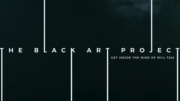 Black Art Project (2 DVD Set) | SansMinds - (DVD)