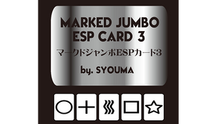 Marked Jumbo ESP Cards (Black) | Tejinaya Magic