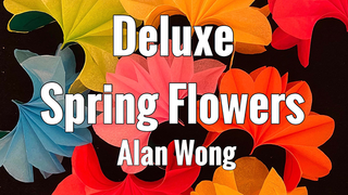 Deluxe Spring Flowers | Alan Wong