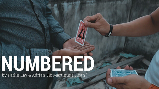 Numbered | Parlin Lay - (Download) 