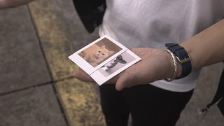 Skymember Presents: Project Polaroid  Add-On Kit (Pet lover)