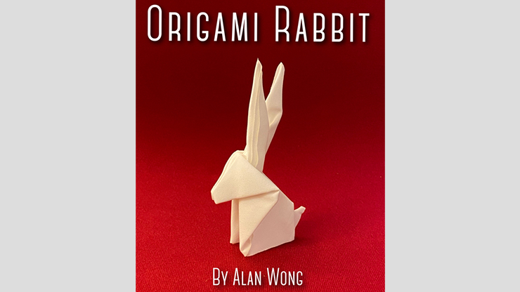 Origami Rabbit | Alan Wong