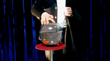 Appearing Fish in Bowl | Sorcier Magic