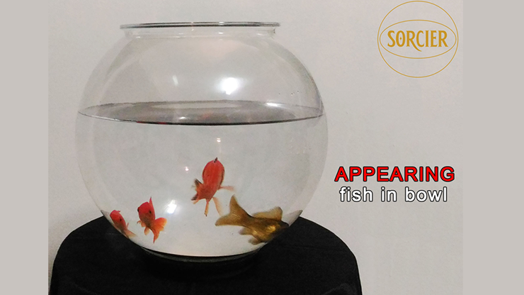 Appearing Fish in Bowl | Sorcier Magic 