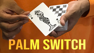 Magic Encarta Presents Palm Switch & Palm Control | Vivek Singhi - (Download)