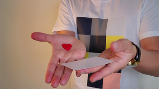 PIPS MATRIX | Jeki Yoo 