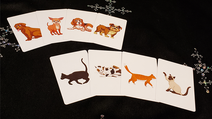 Animal Card | Tejinaya Magic