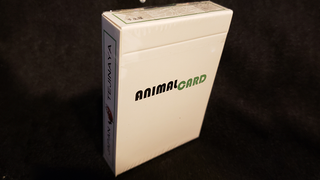 Animal Card | Tejinaya Magic