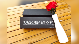 Dream Rose | JL Magic