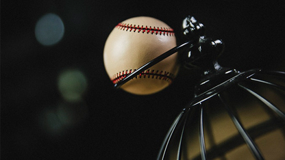 Final Leather Ball | TCC