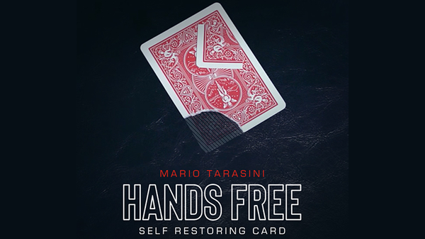 Hands Free | Mario Tarasini