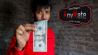 AnyMate | Sumit Chhajer - (Download)