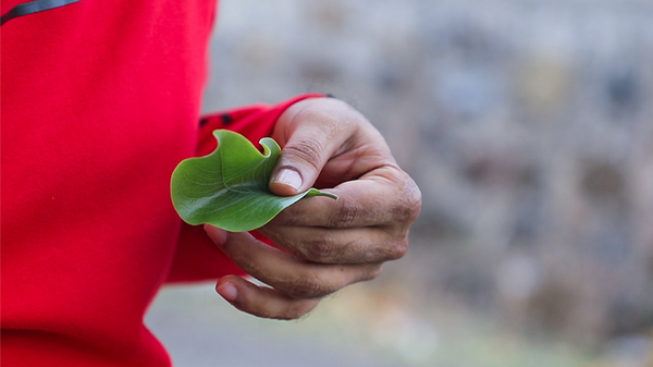 AnyMate | Sumit Chhajer - (Download)