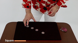 Coins Akira's - Evolution For 25 Years | Akira Fujii - (DVD)