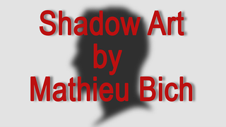 Shadow Art (Bat Man) | Mathieu Bich