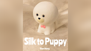 Silk to Puppy | Alan Wong