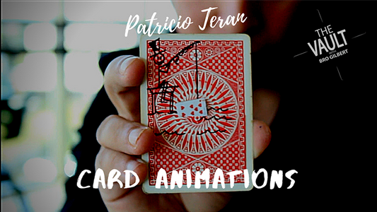 The Vault - Card Animations | Patricio Teran - (Download)