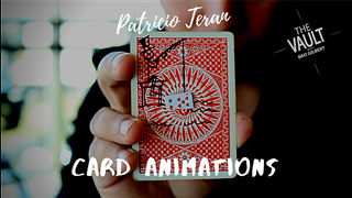 The Vault - Card Animations | Patricio Teran - (Download) 