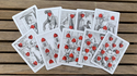 Cotta's Almanac #3 Transformation Playing Cards