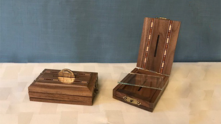 Coin Penetration | Tony Karpinski