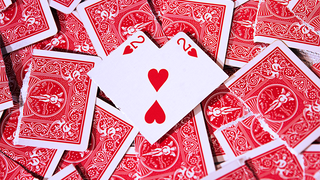 Wings Magic Presents: Shape Of My Heart | Silver Wing & Carpenter Wong