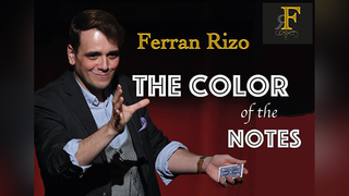The Color of the Notes | Ferran Rizo - (Download)