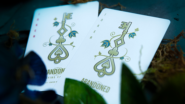 Abandoned Luxury Playing Cards | dynamo